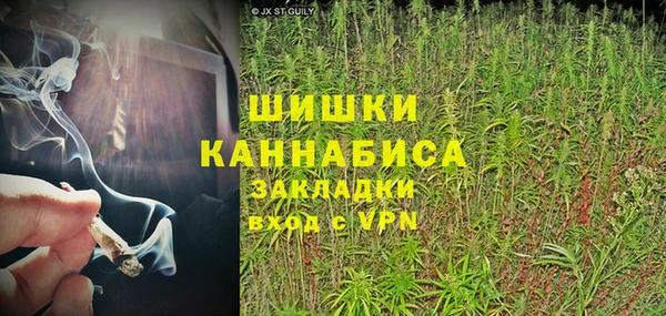 спиды Анива