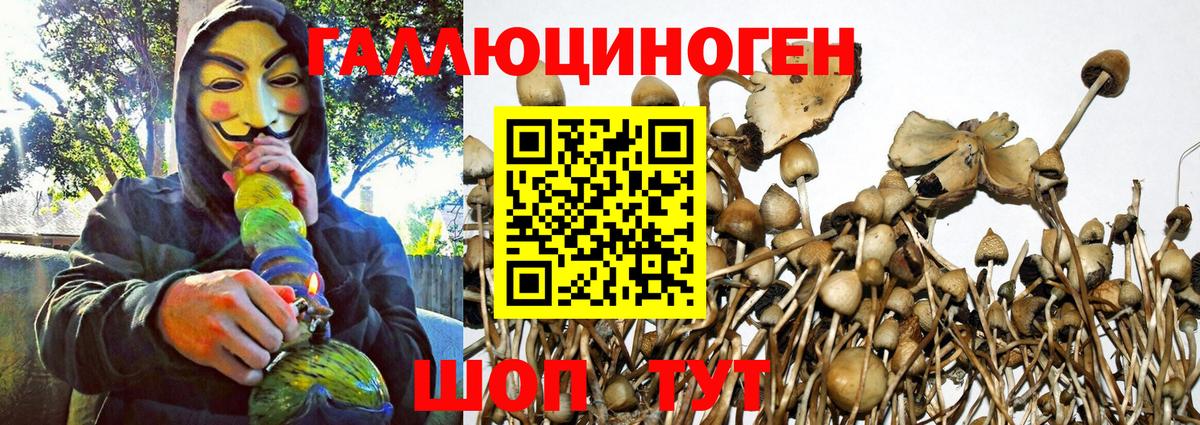 Галлюциногенные грибы Cubensis Дубна