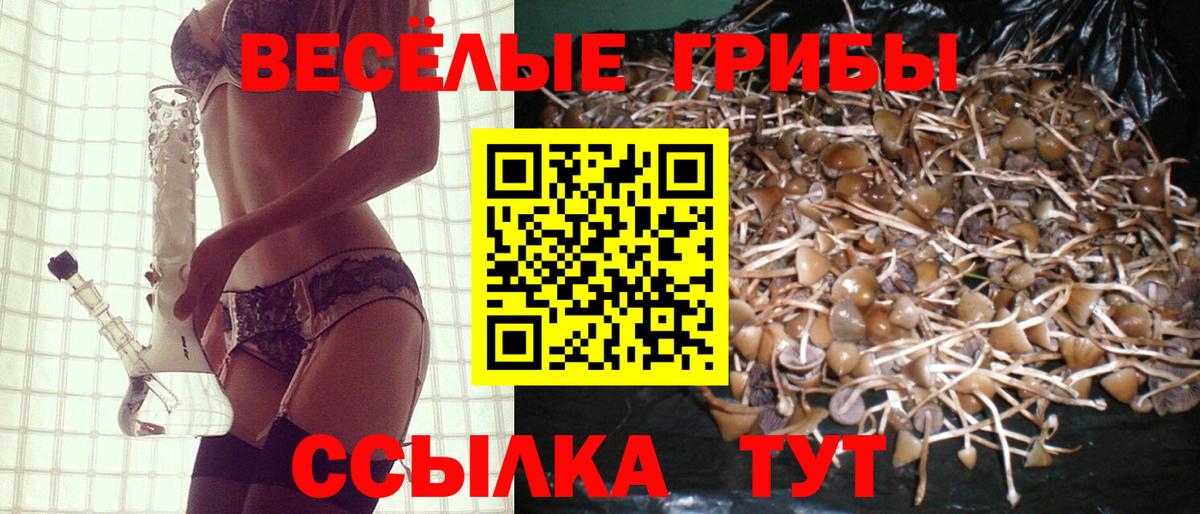  COCAIN Дубна