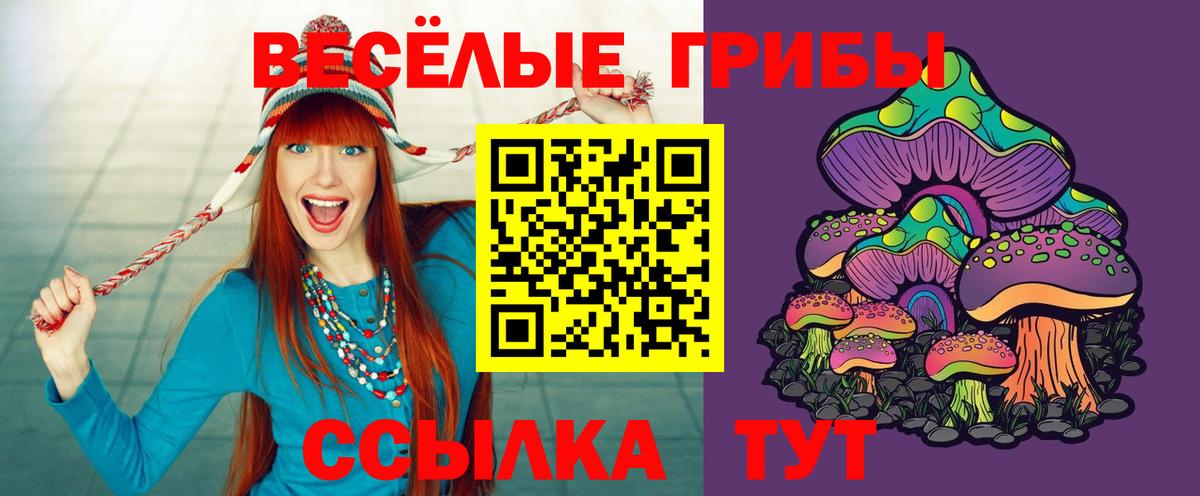 Галлюциногенные грибы Cubensis Дубна