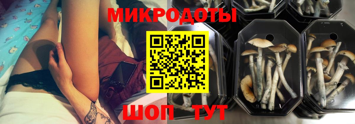 Дубна  Галлюциногенные грибы GOLDEN TEACHER  Вход с VPN 